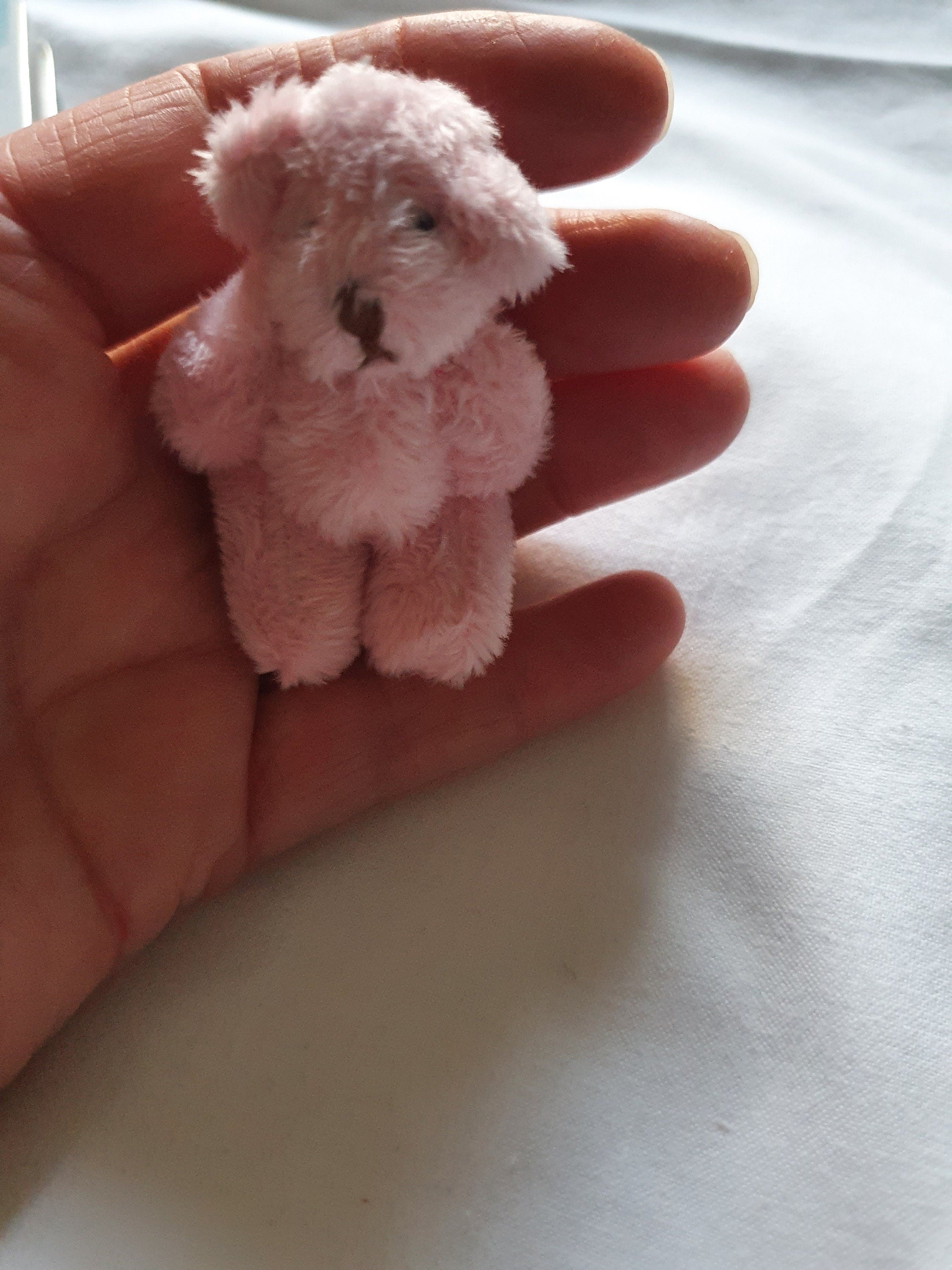🧸 Glimsea™ Mini Teddy Bear – A Pocketful of Hugs
